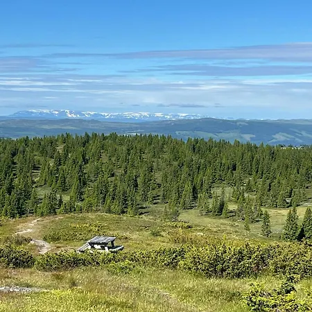 Сasa de vacaciones Newly Built At Skutuset At Golsfjellet