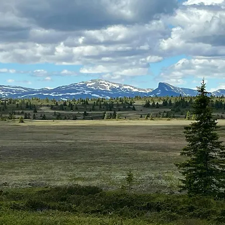Newly Built At Skutuset At Golsfjellet