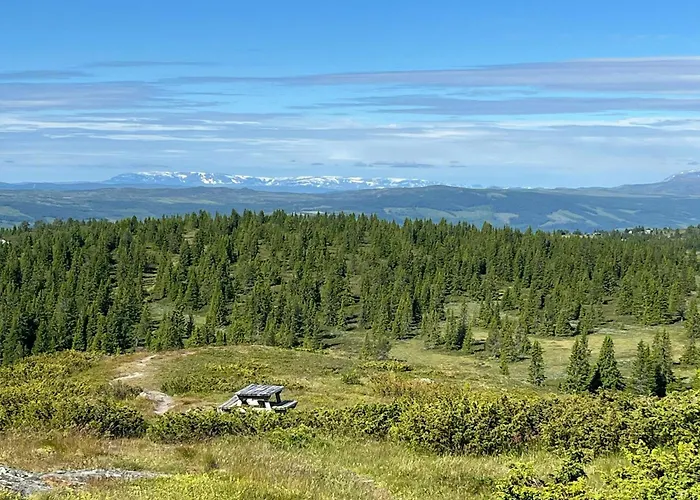 Holiday home Newly Built At Skutuset At Golsfjellet