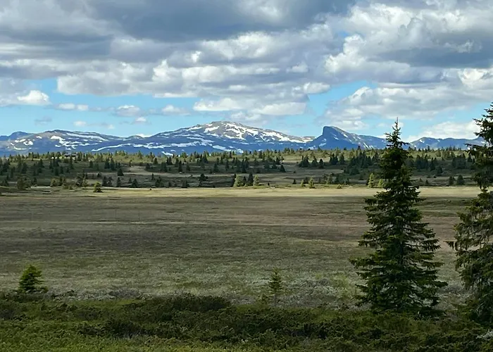 Newly Built At Skutuset At Golsfjellet