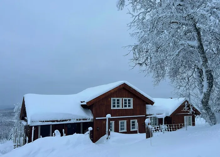 Holiday home Newly Built At Skutuset At Golsfjellet